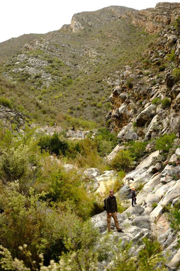 Kingfisher Cottages, Langhoogte Farm Montagu Dış mekan fotoğraf